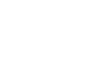 COPARMEX